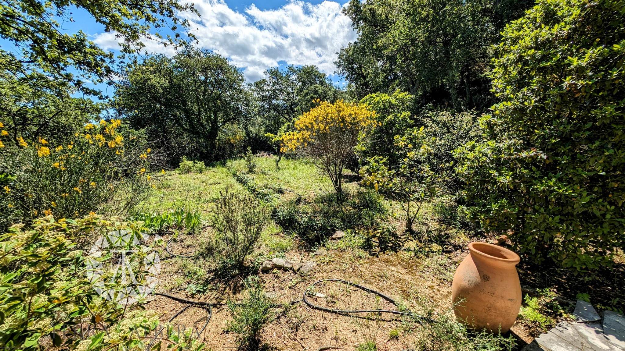 Vente Maison à Laroque-des-Albères 6 pièces