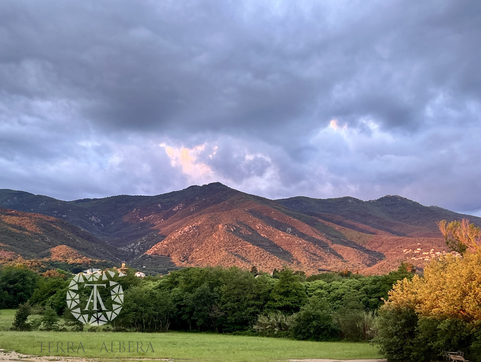 Vente Terrain à Laroque-des-Albères 0 pièce