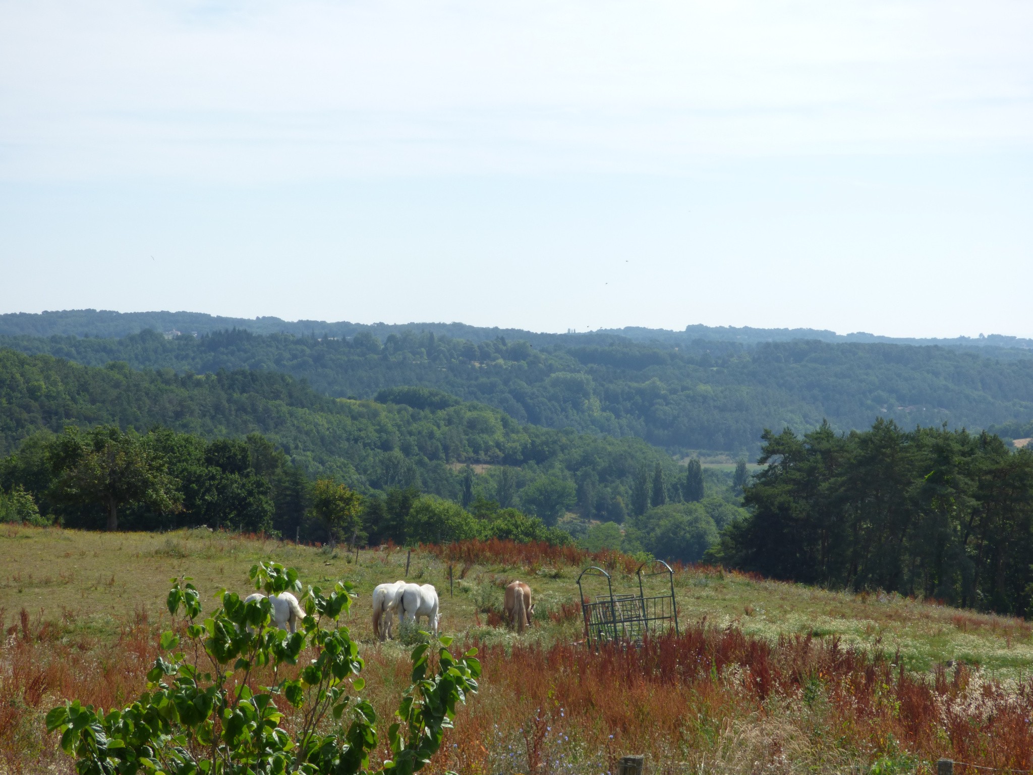 Vente Maison à Auriac-du-Périgord 6 pièces