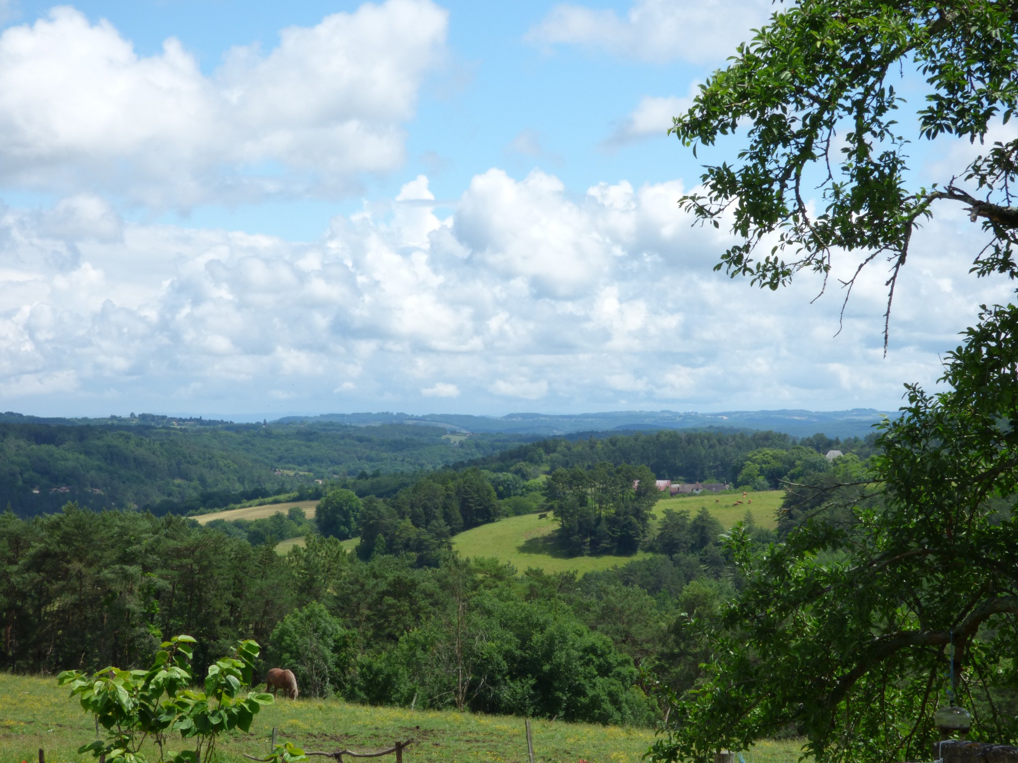 Vente Maison à Auriac-du-Périgord 6 pièces