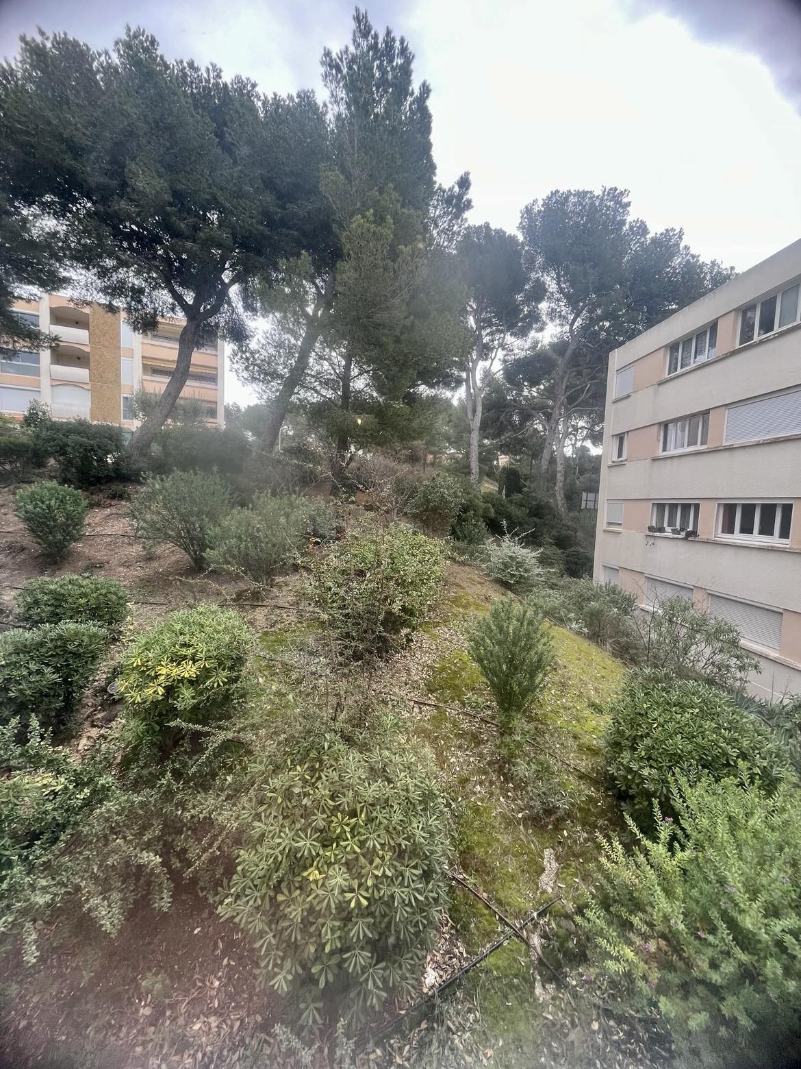 Location Appartement à Saint-Mandrier-sur-Mer 2 pièces