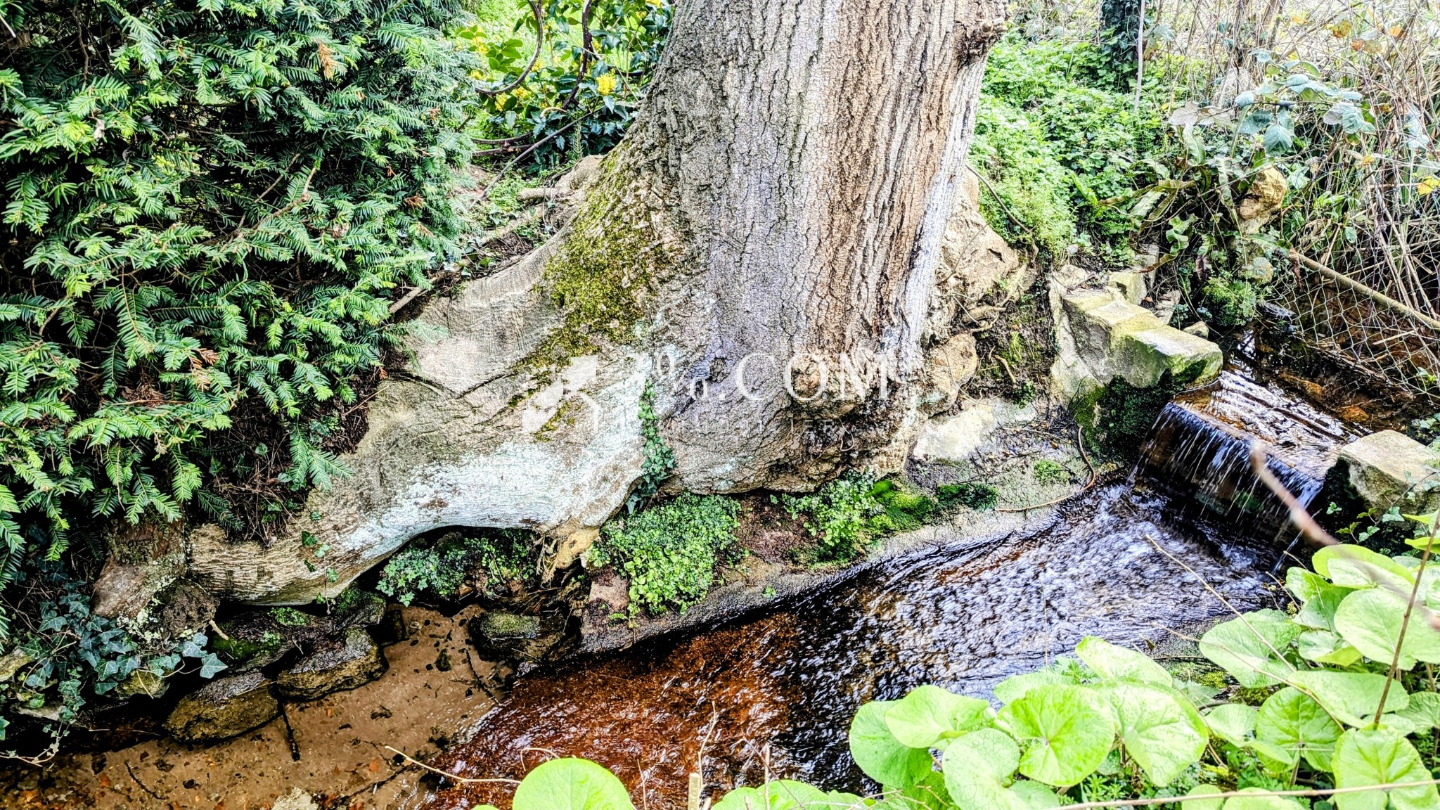 Vente Maison à Poissy 7 pièces