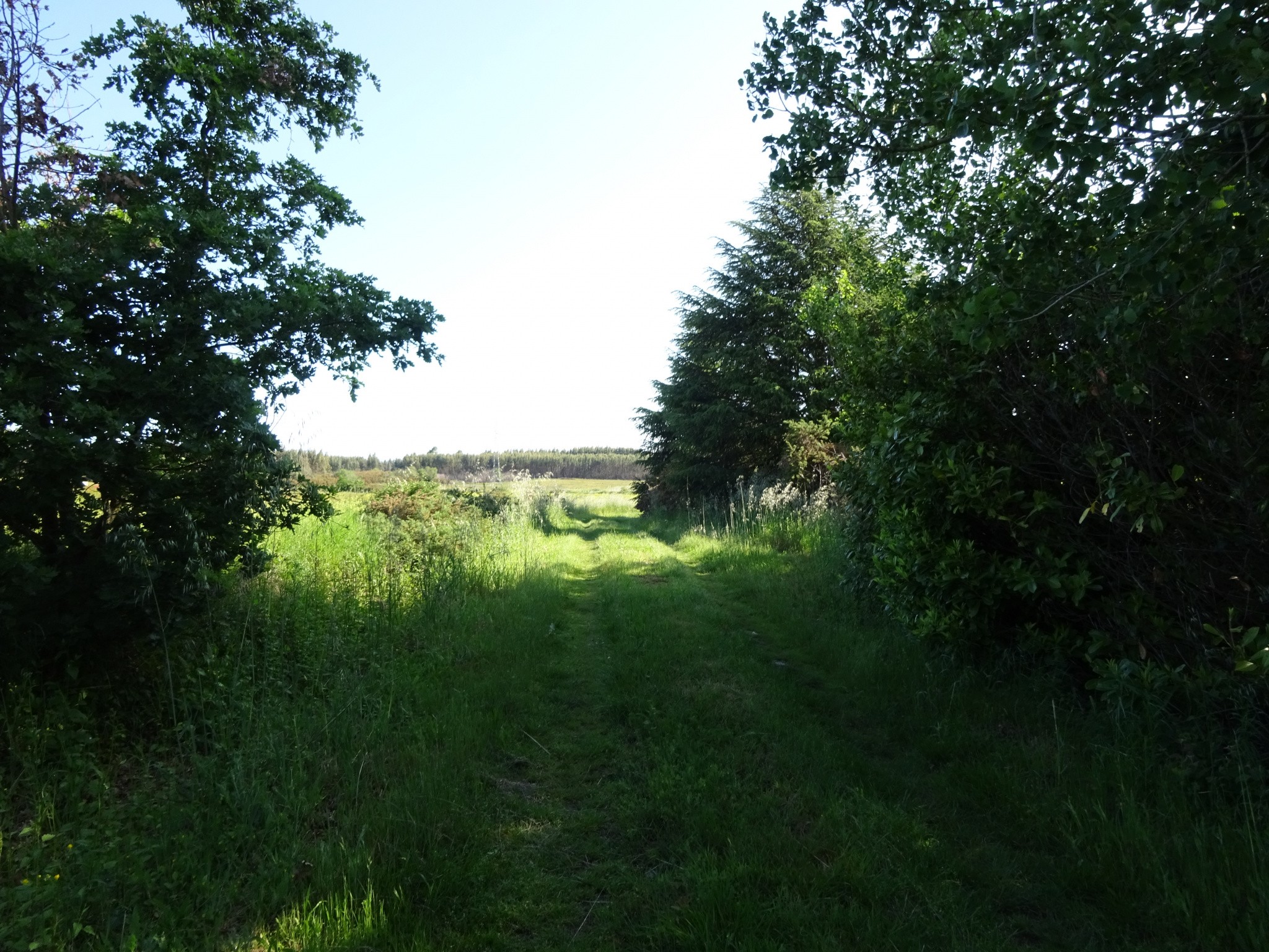 Vente Maison à Castelnaudary 5 pièces