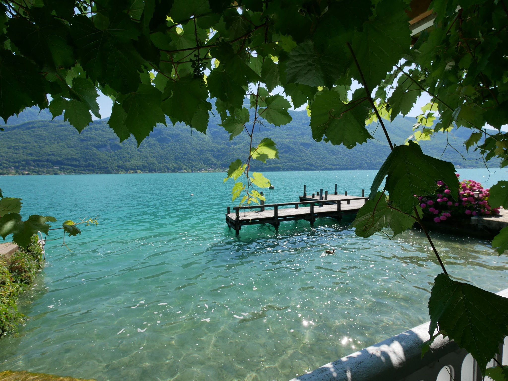 Vente Maison à Annecy 20 pièces