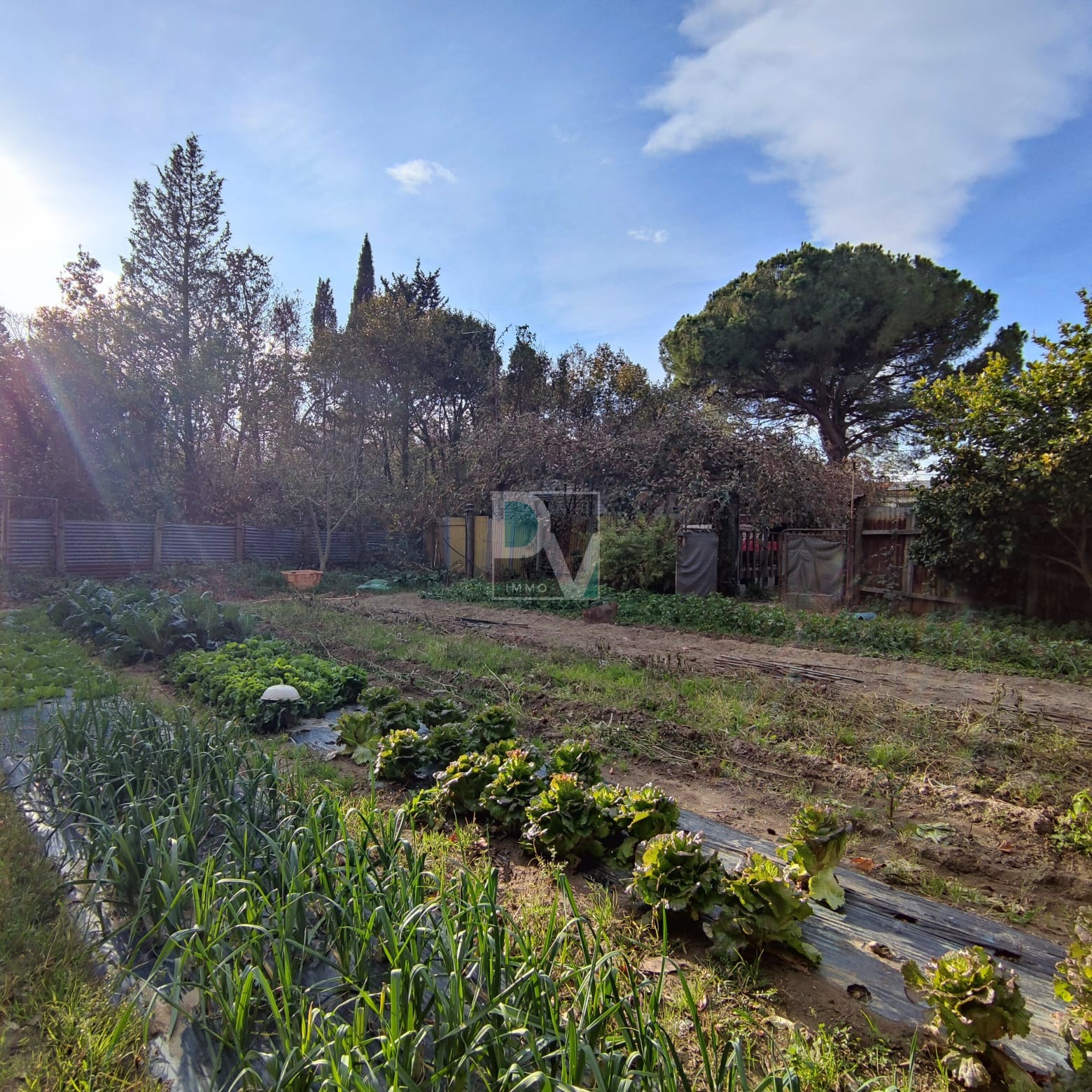 Vente Maison à Elne 7 pièces