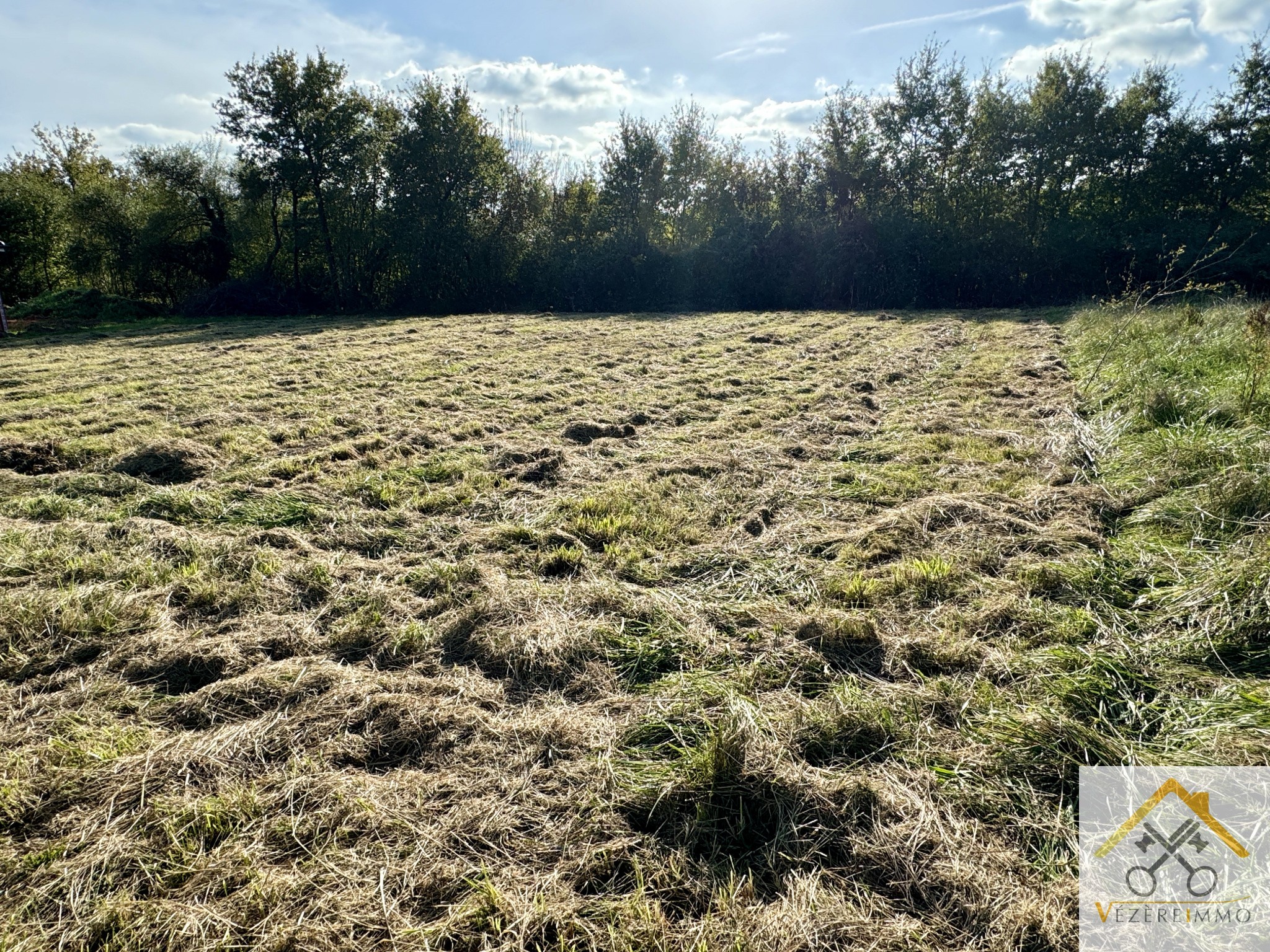 Vente Terrain à Varetz 0 pièce