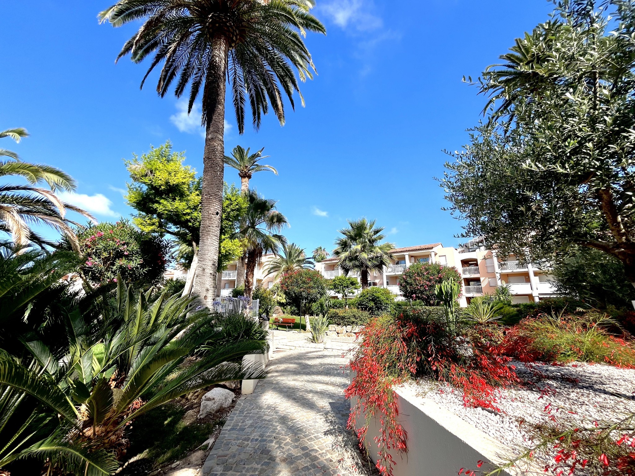 Vente Appartement à Vallauris 3 pièces