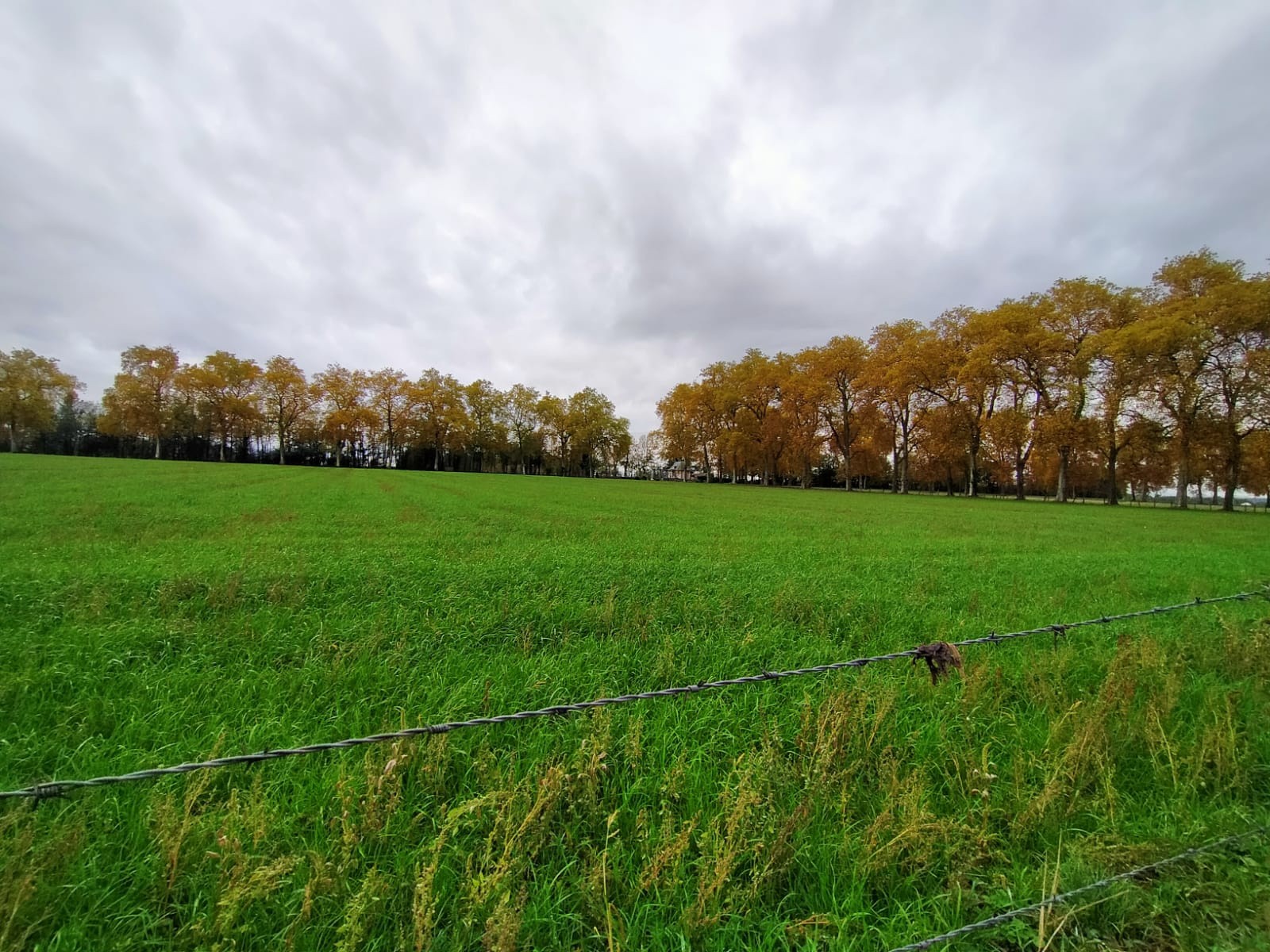 Vente Terrain à Nervieux 0 pièce