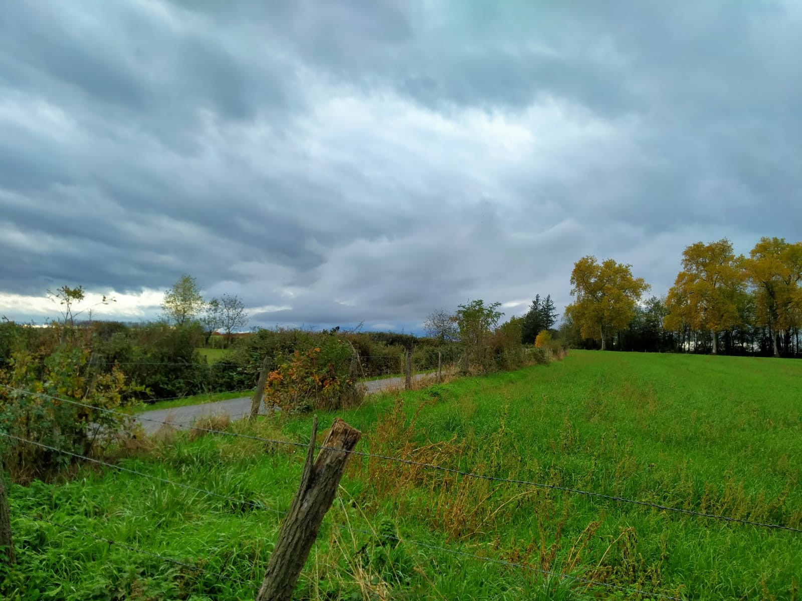 Vente Terrain à Nervieux 0 pièce