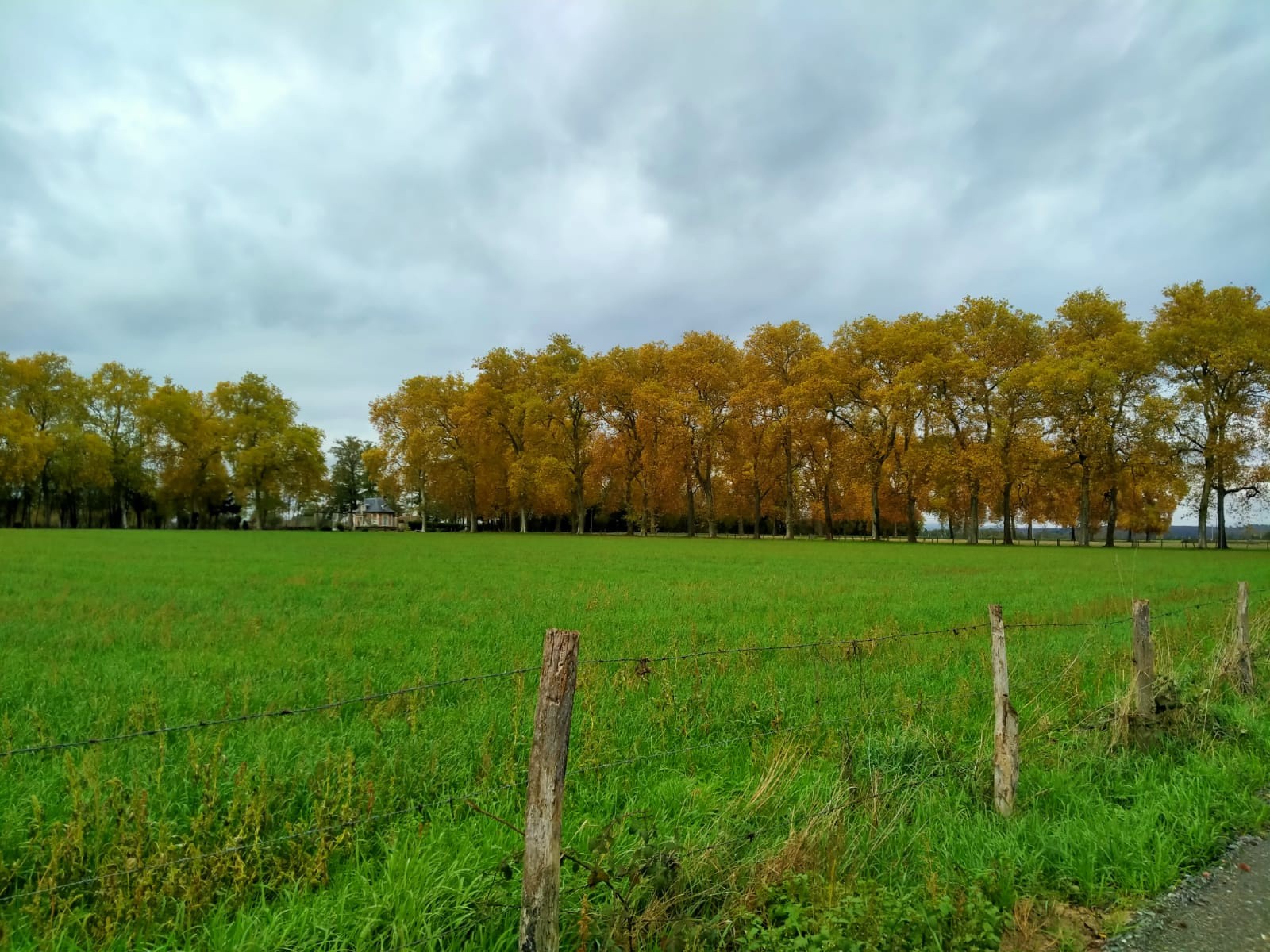 Vente Terrain à Nervieux 0 pièce