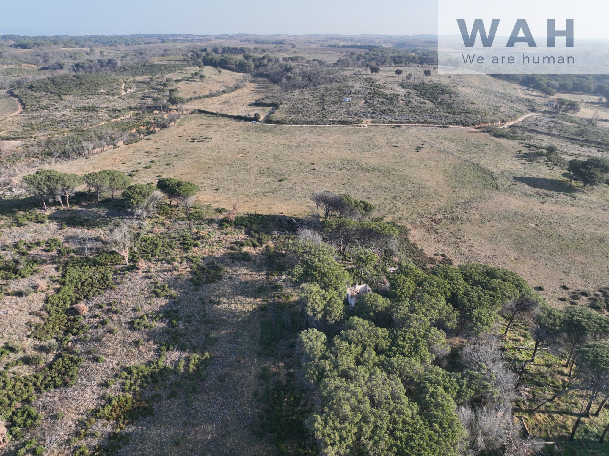 Vente Terrain à Vauvert 0 pièce