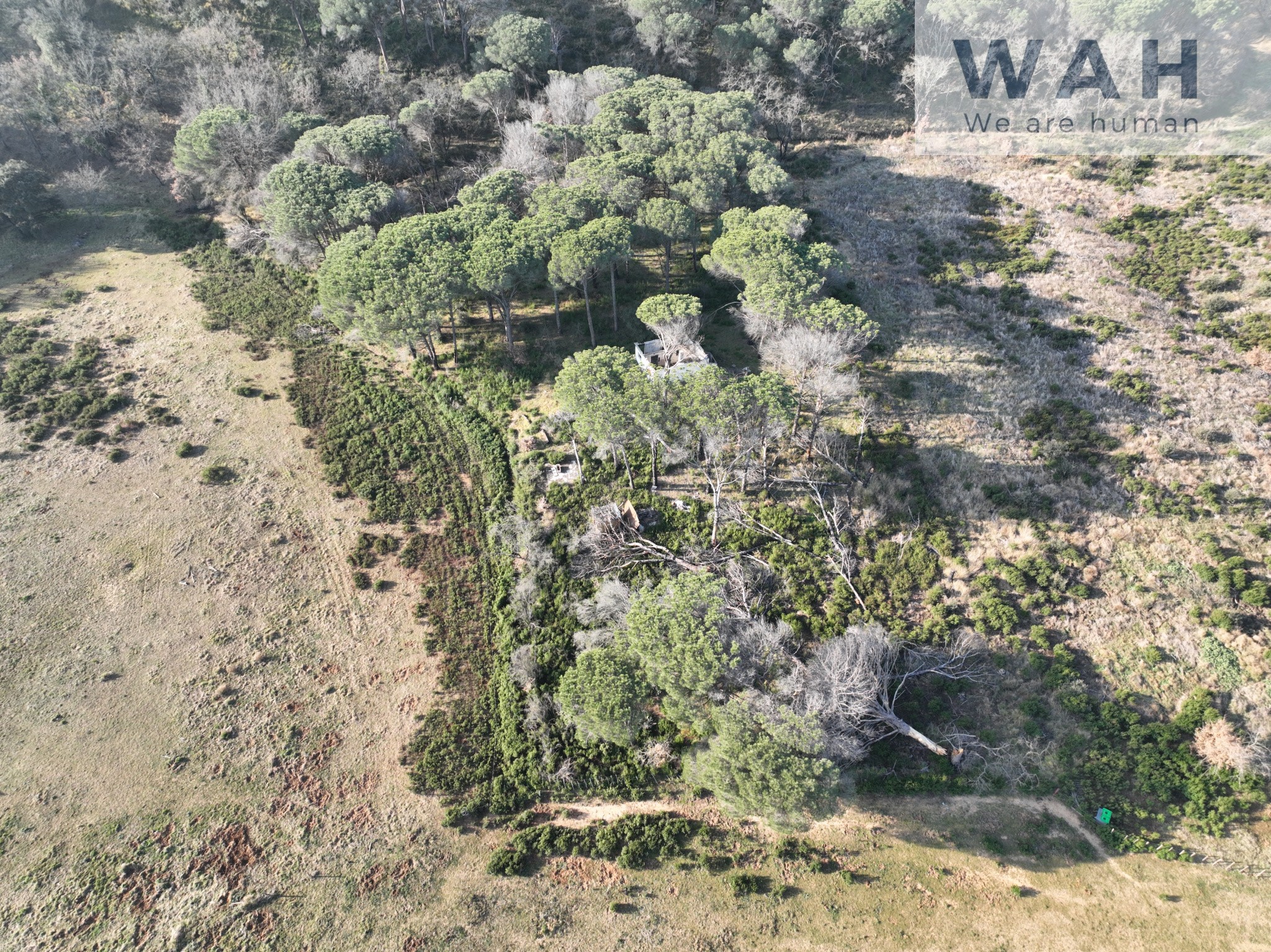 Vente Terrain à Vauvert 0 pièce