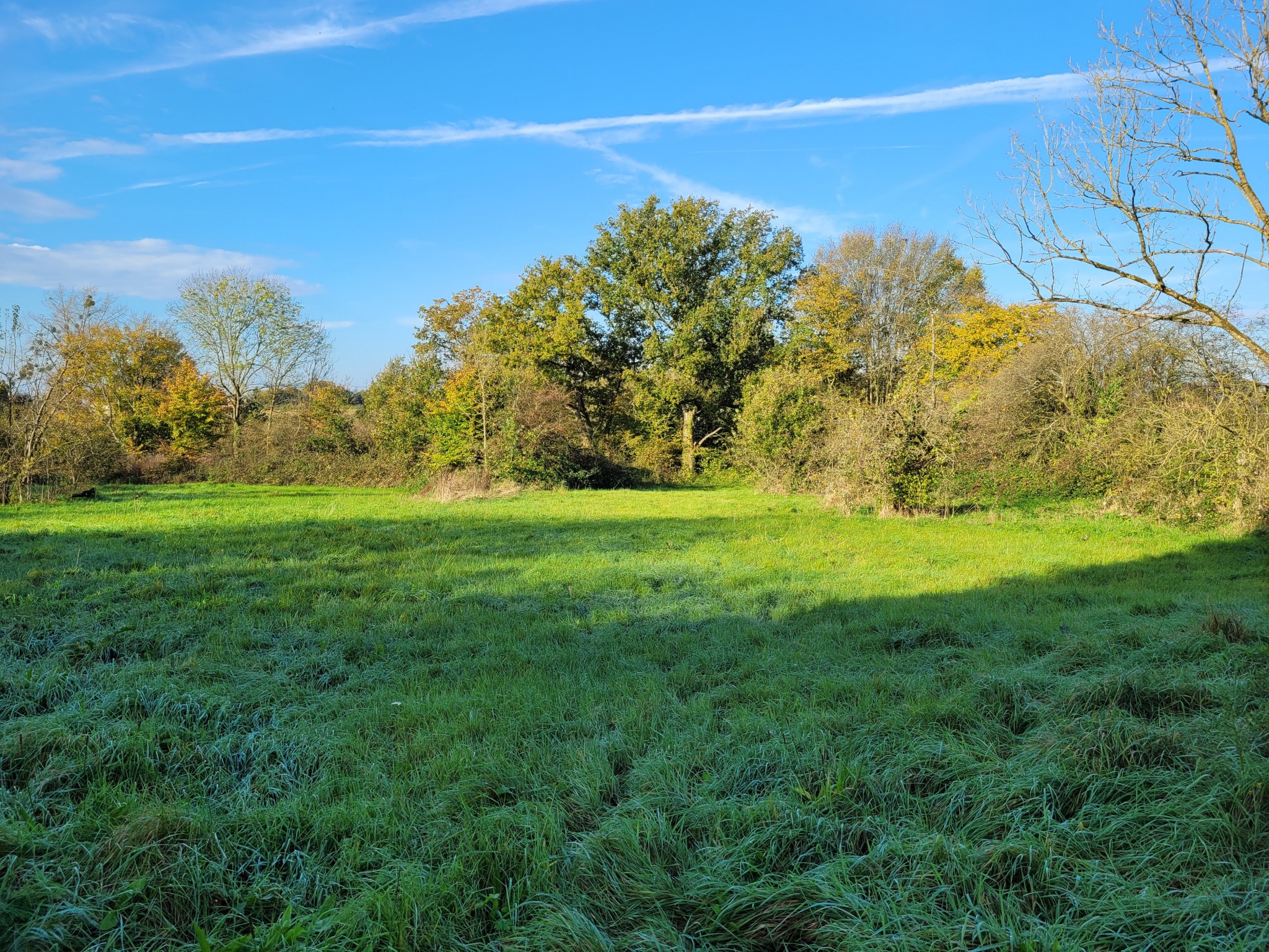 Vente Maison à Solre-le-Château 6 pièces