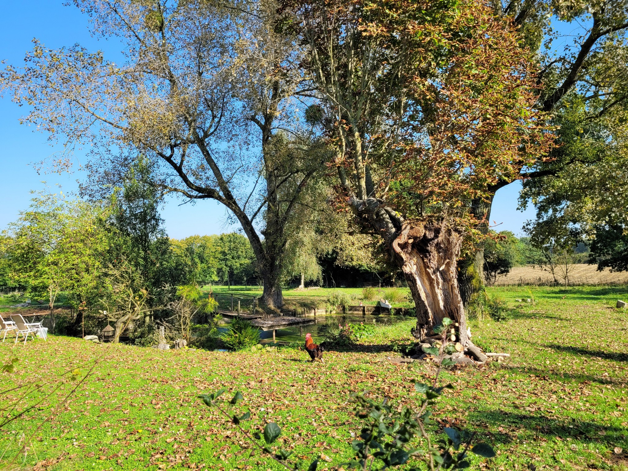 Vente Maison à le Quesnoy 10 pièces