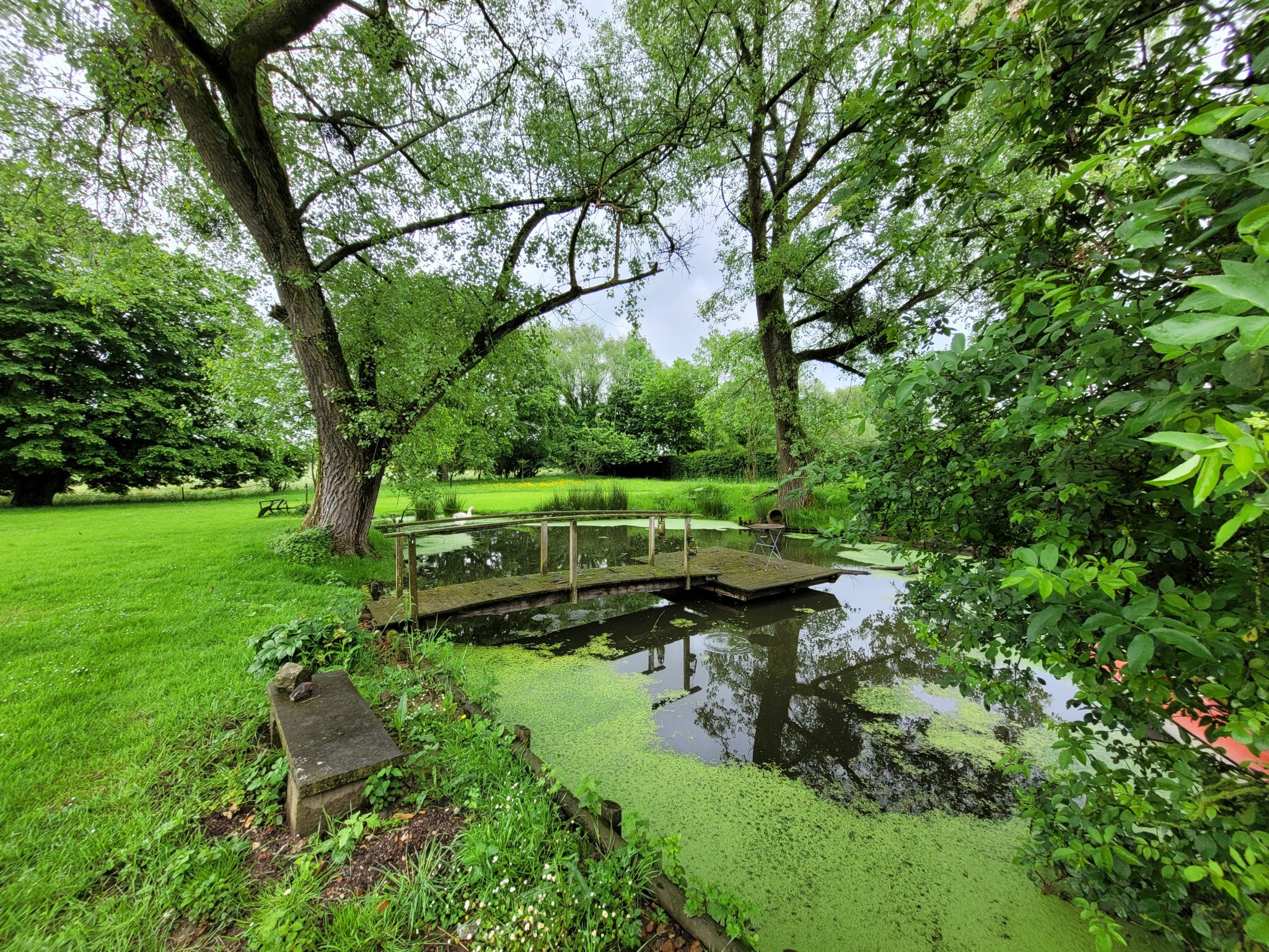 Vente Maison à Lille 10 pièces