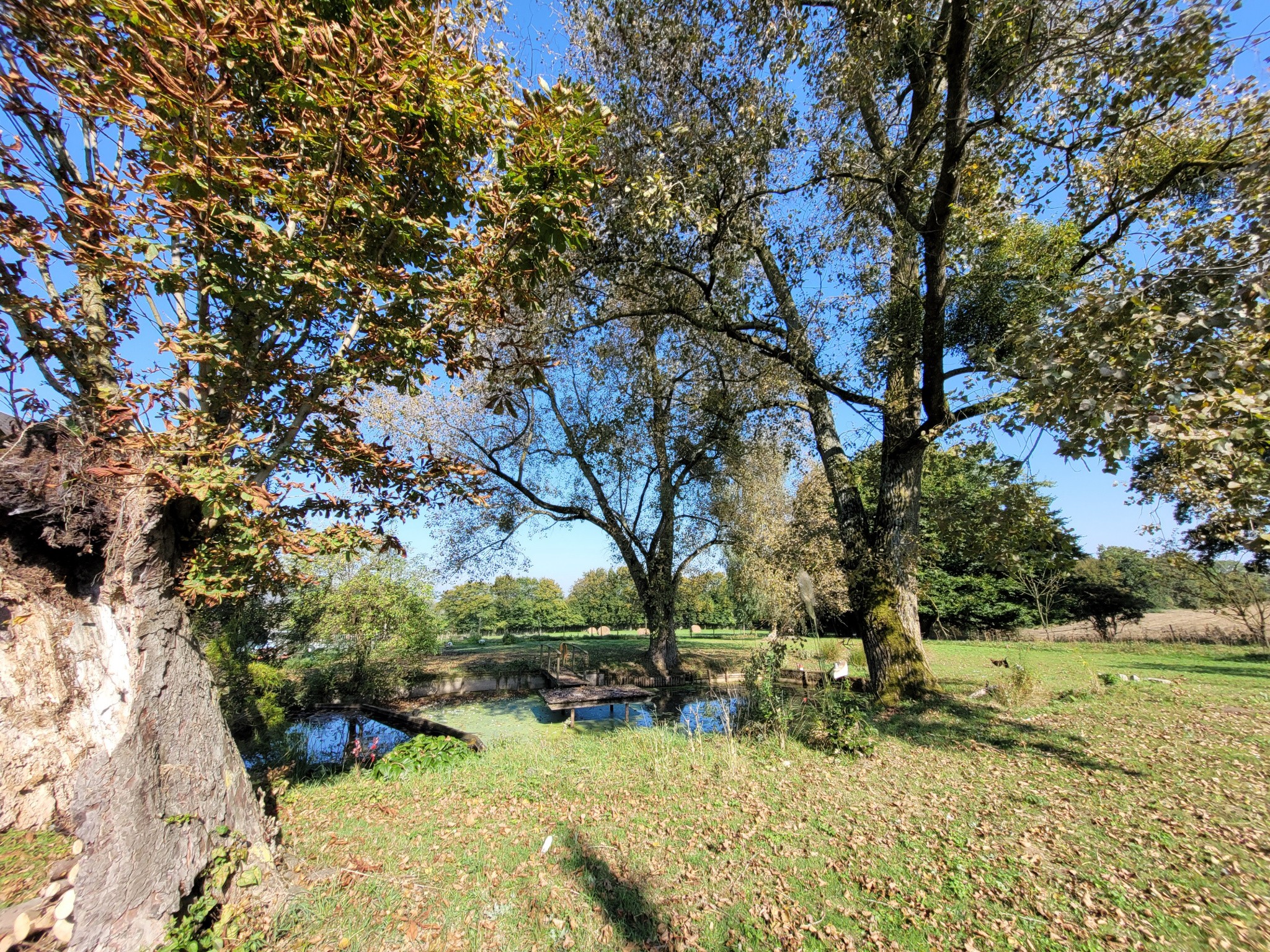 Vente Maison à le Quesnoy 10 pièces