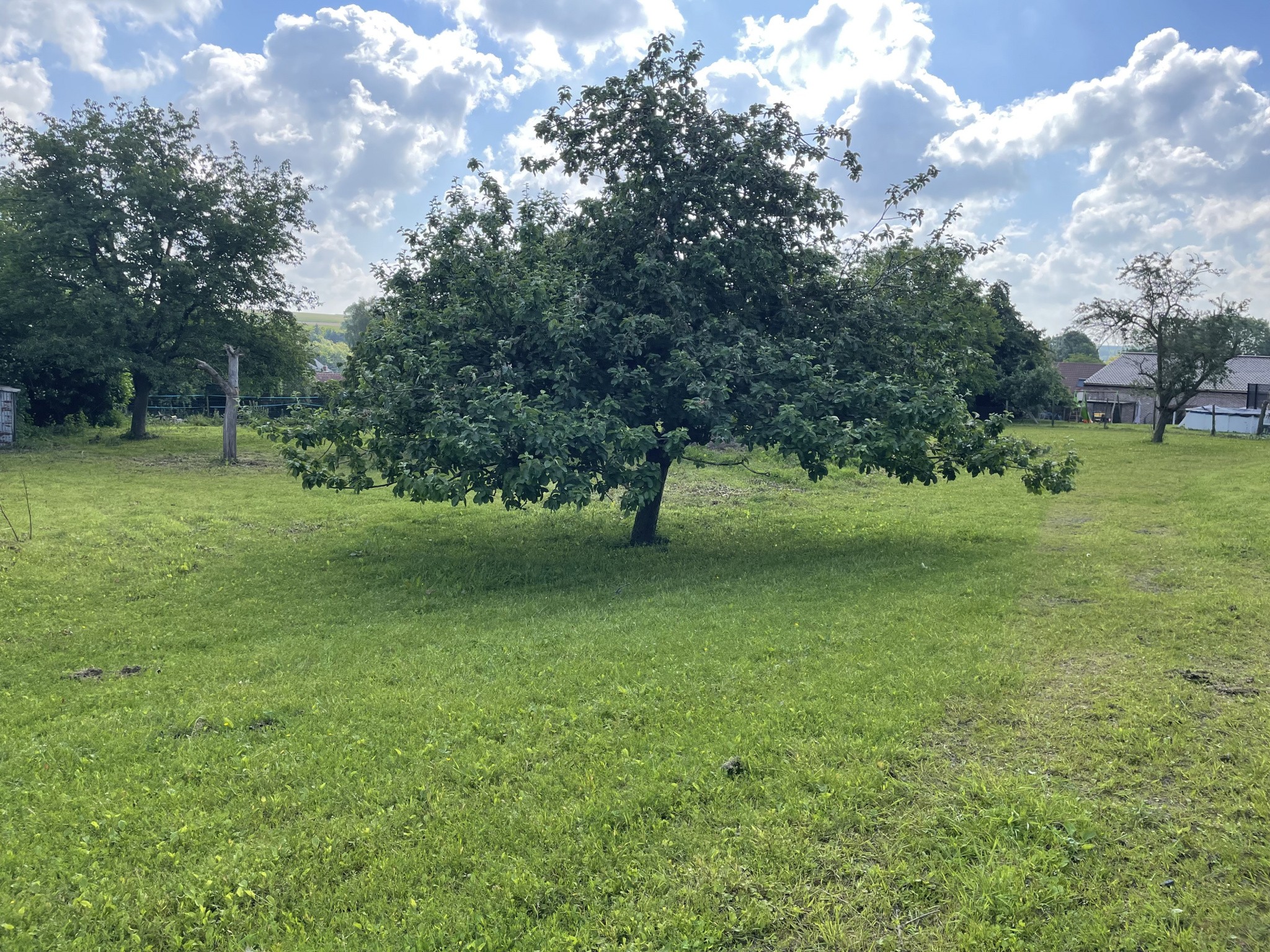 Vente Maison à Valenciennes 22 pièces