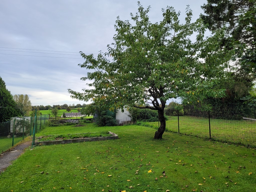 Vente Maison à Avesnes-sur-Helpe 3 pièces