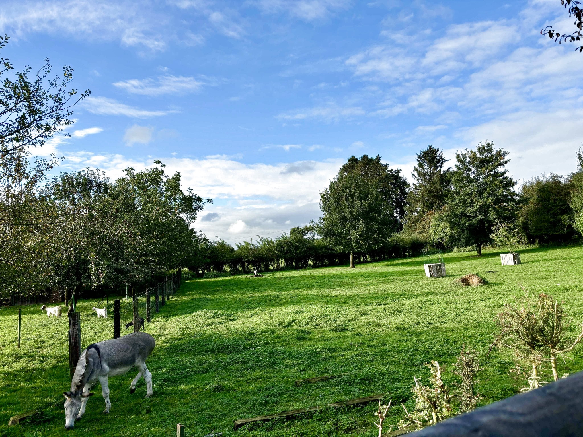 Vente Maison à le Quesnoy 8 pièces