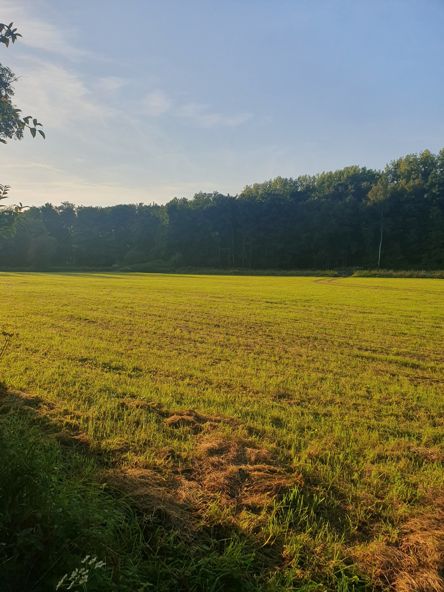 Vente Maison à Aulnoye-Aymeries 5 pièces