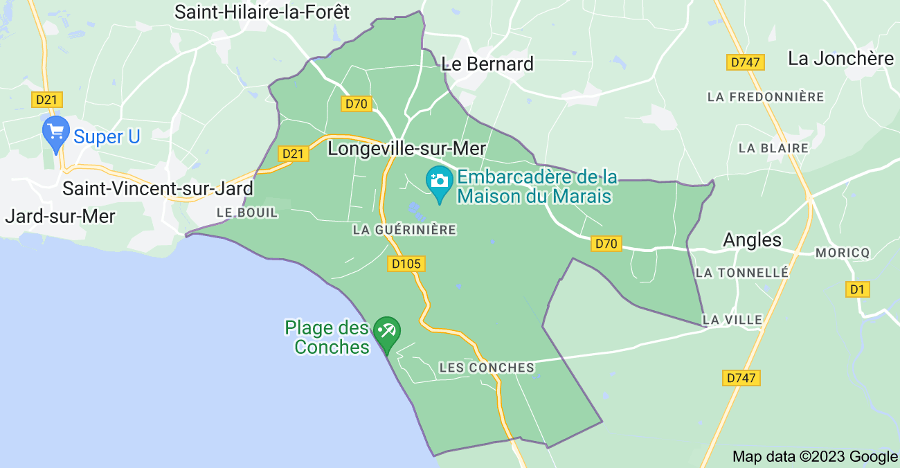 Vente Terrain à Longeville-sur-Mer 0 pièce