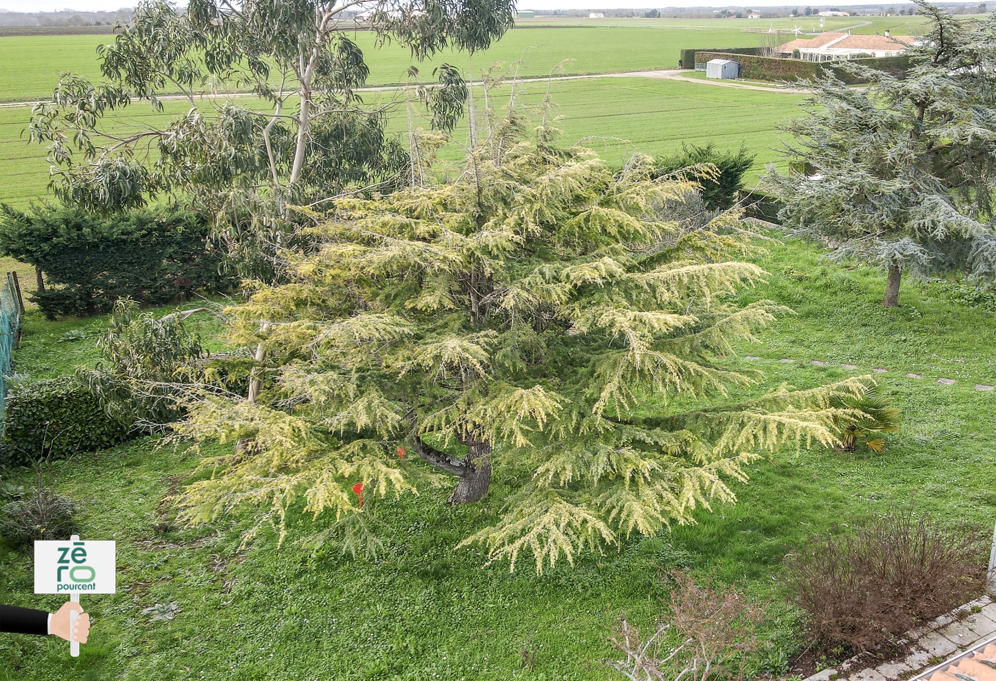 Vente Terrain à Longeville-sur-Mer 0 pièce