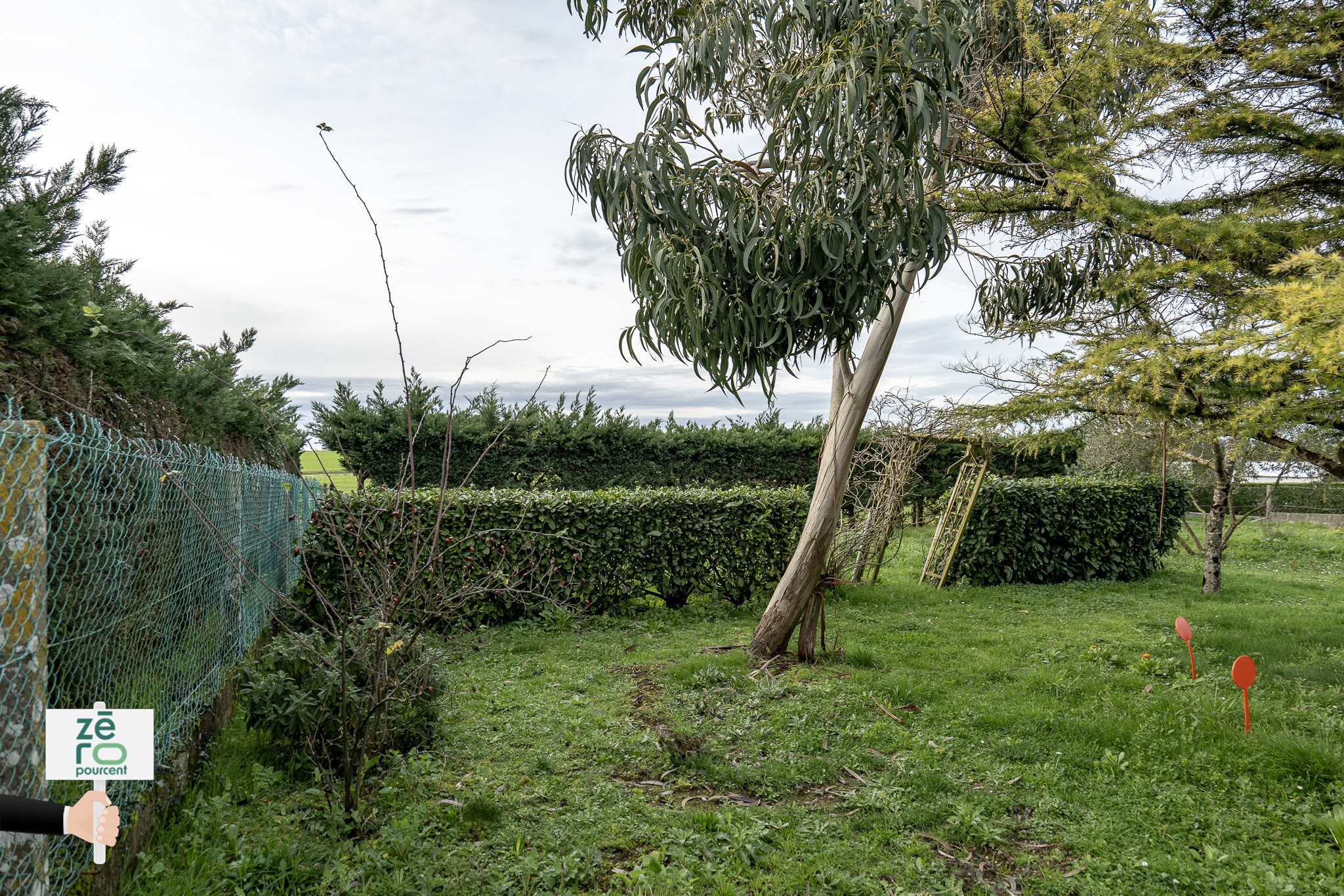 Vente Terrain à Longeville-sur-Mer 0 pièce