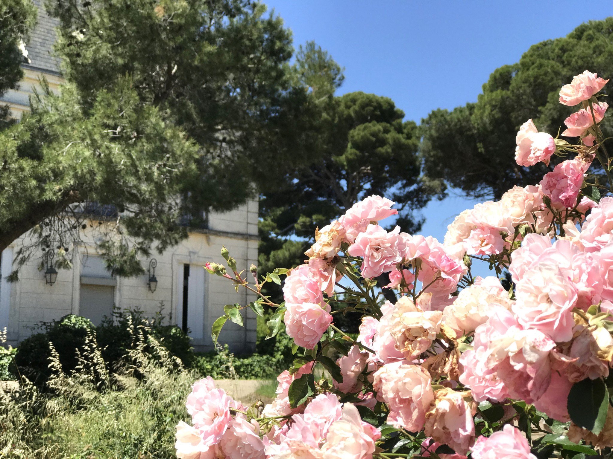 Vente Maison à Agde 25 pièces