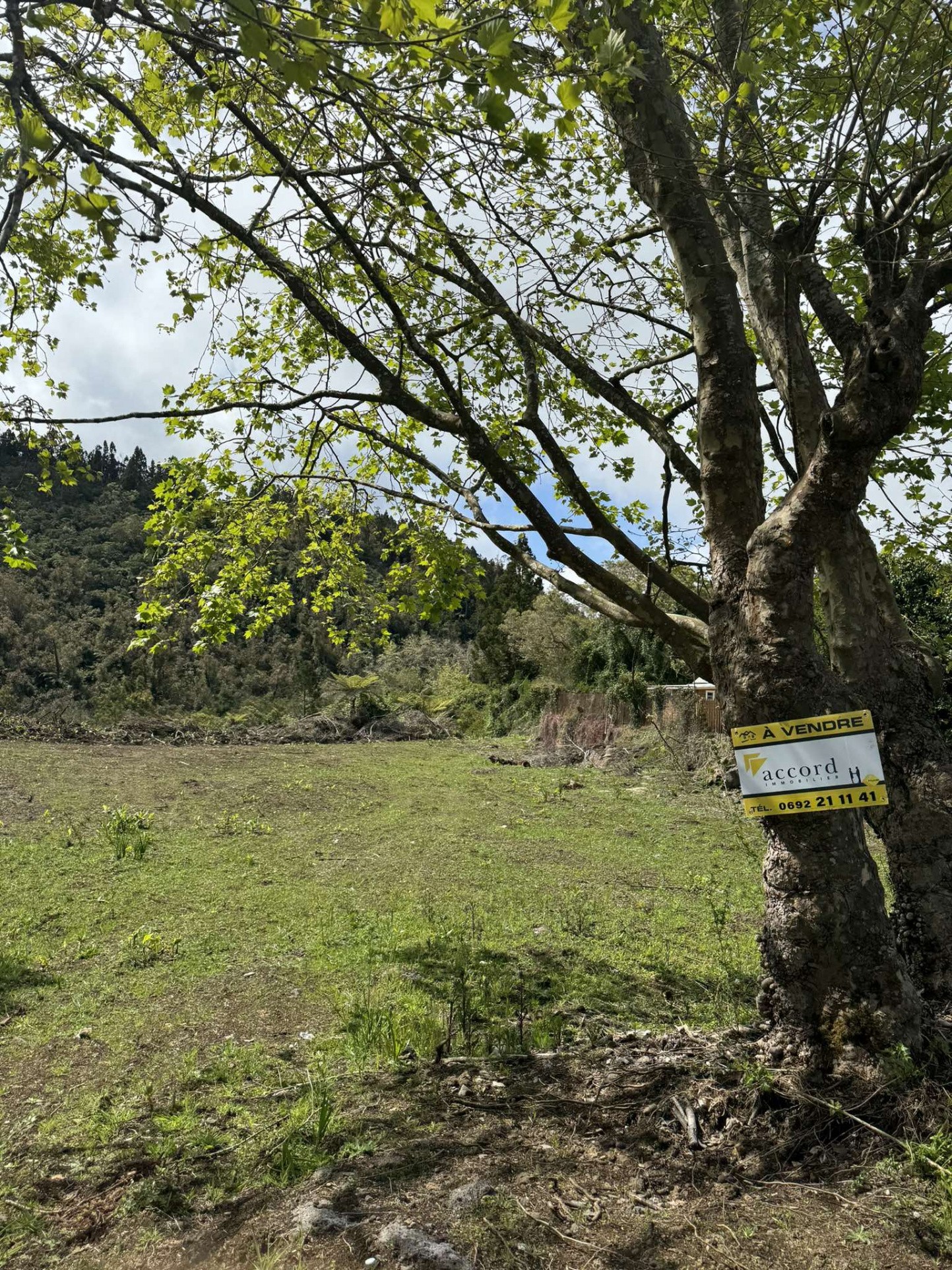 Vente Terrain à le Tampon 0 pièce