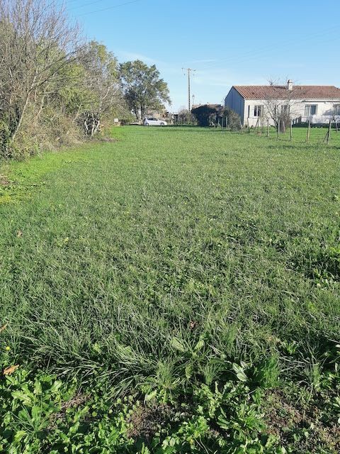 Vente Terrain à Sainte-Hermine 0 pièce