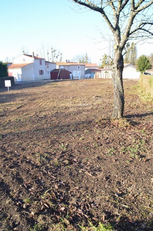 Vente Terrain à Sainte-Hermine 0 pièce