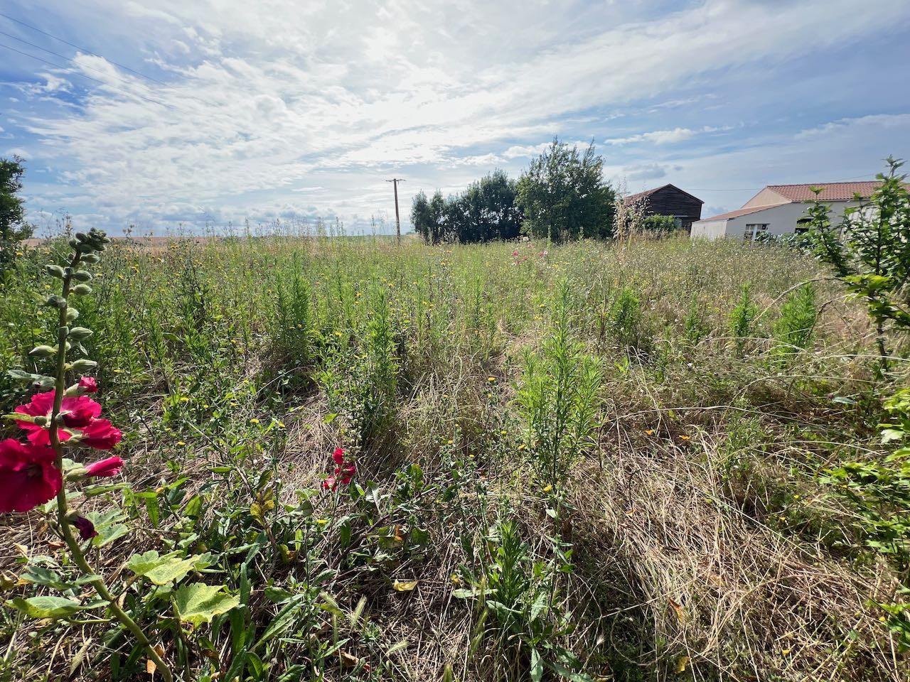 Vente Maison à Sainte-Hermine 4 pièces