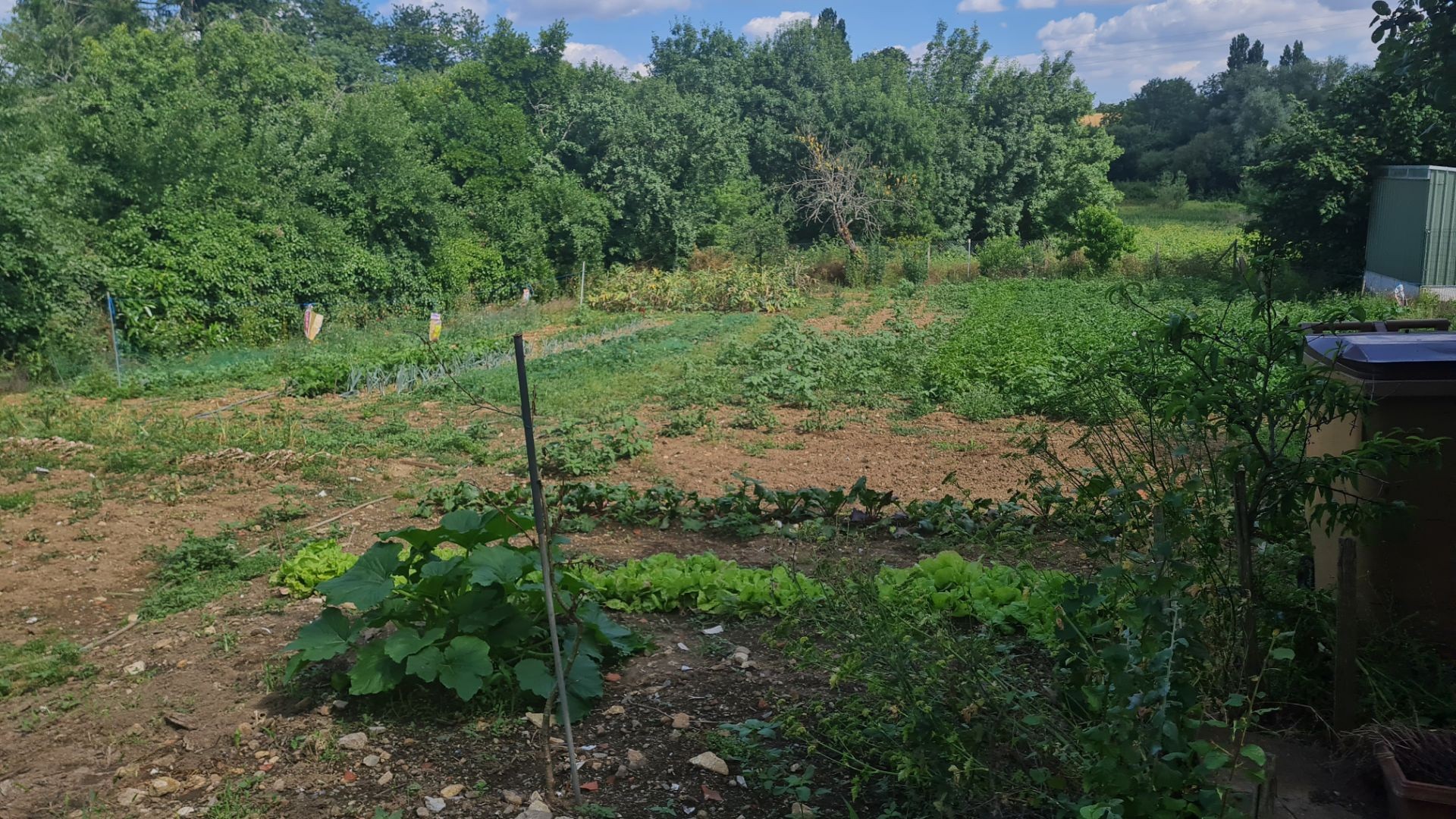 Vente Maison à Sainte-Hermine 5 pièces