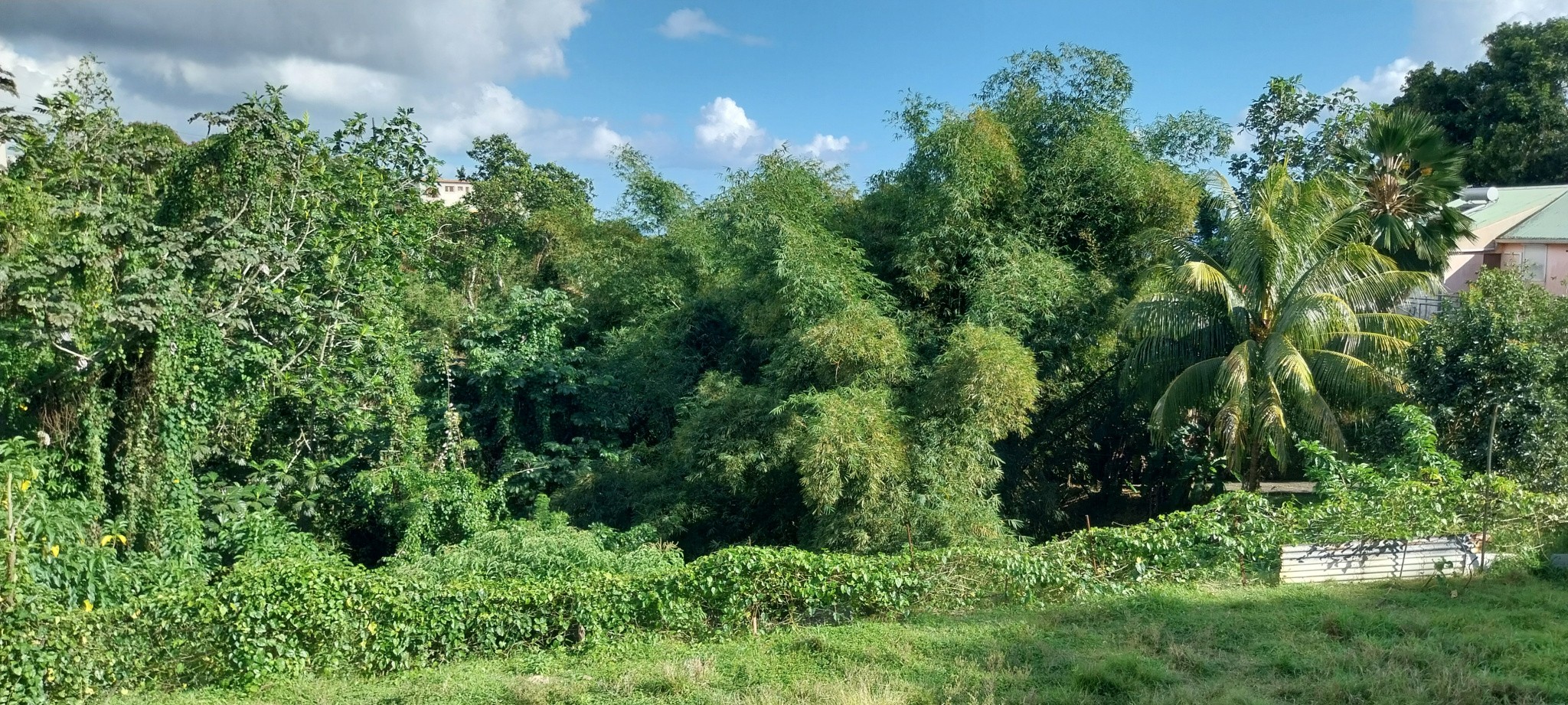 Vente Terrain à Fort-de-France 0 pièce