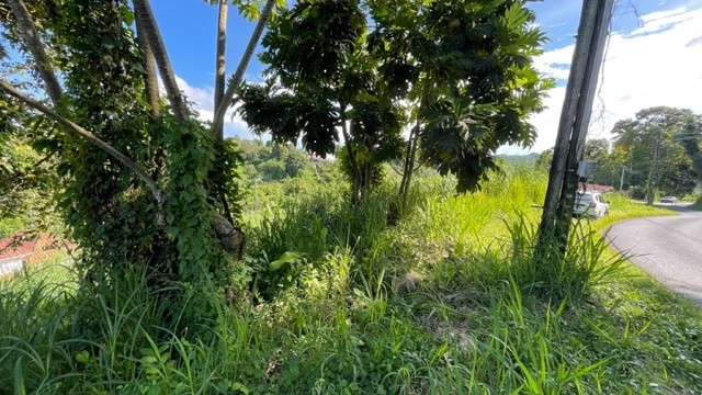 Vente Terrain à Saint-Joseph 0 pièce