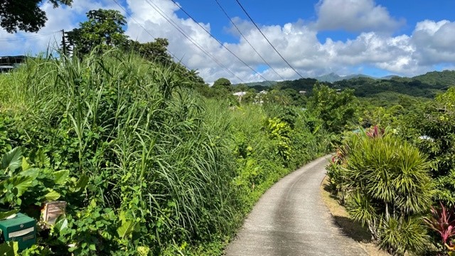 Vente Terrain à Saint-Joseph 0 pièce