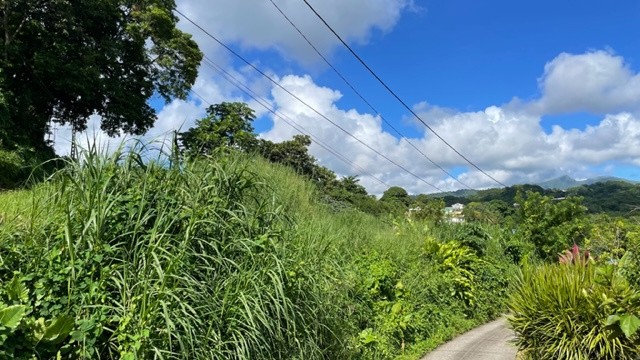 Vente Terrain à Saint-Joseph 0 pièce