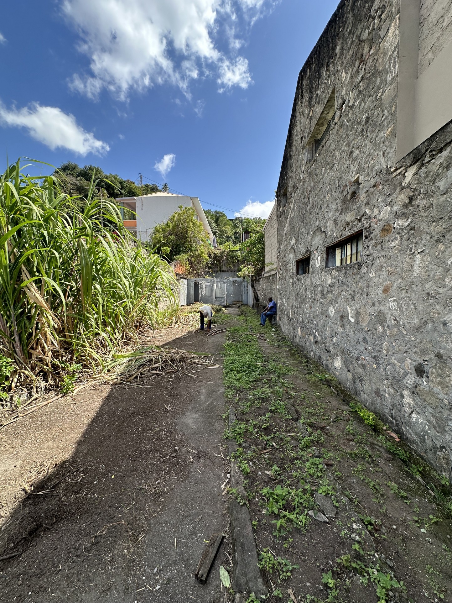 Vente Terrain à Saint-Pierre 0 pièce