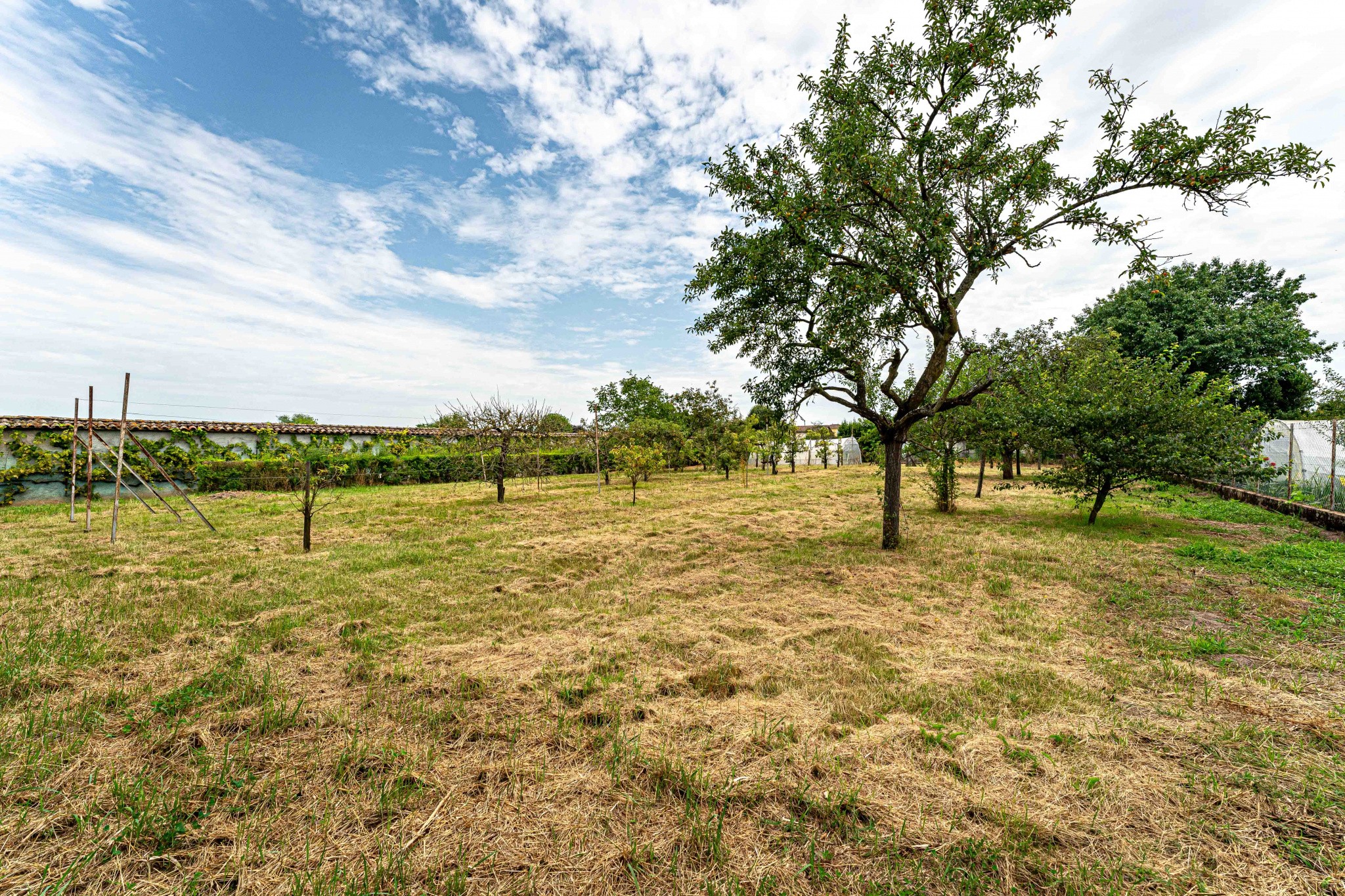 Vente Maison à Saint-Didier-sur-Chalaronne 10 pièces