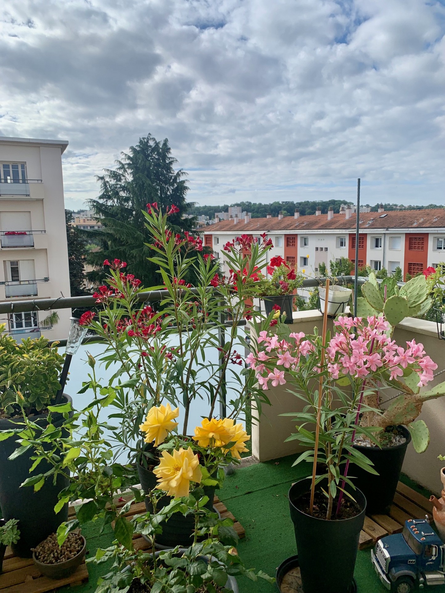 Vente Appartement à Tassin-la-Demi-Lune 4 pièces