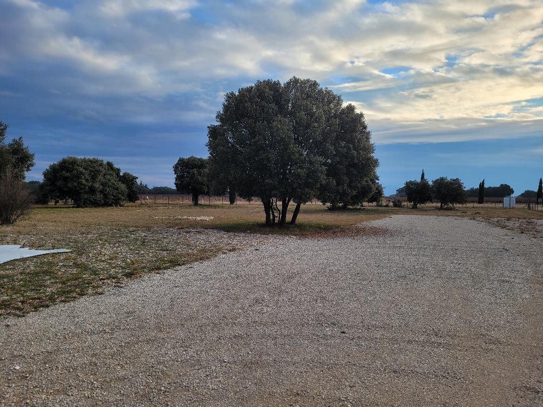 Vente Bureau / Commerce à Sérignan-du-Comtat 0 pièce