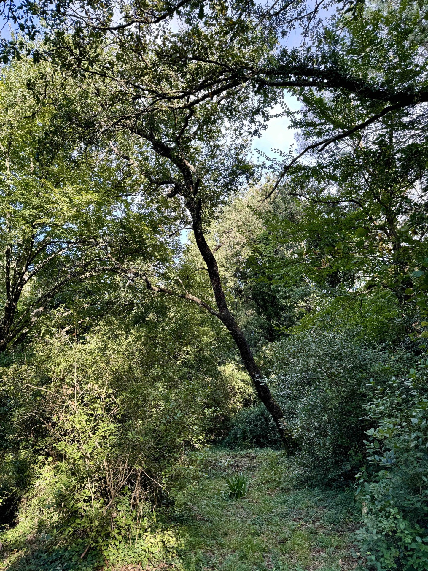 Vente Maison à Uzès 4 pièces