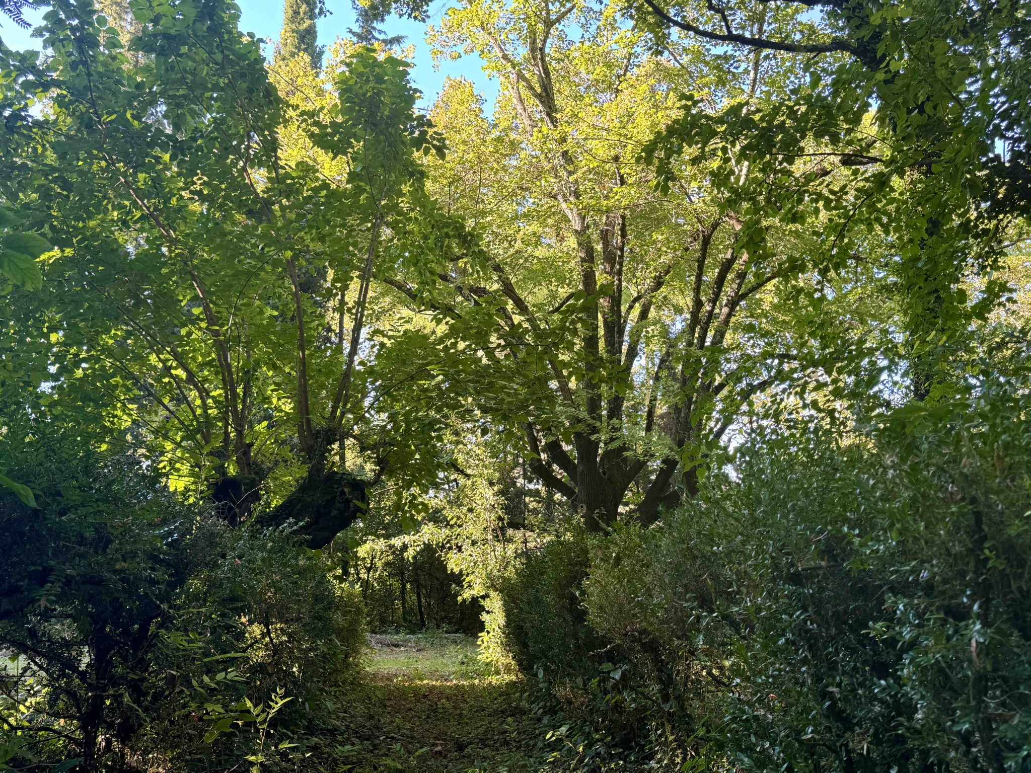 Vente Maison à Uzès 4 pièces