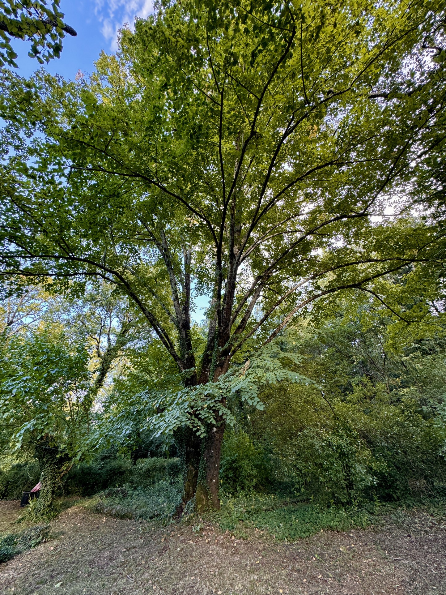 Vente Maison à Uzès 4 pièces