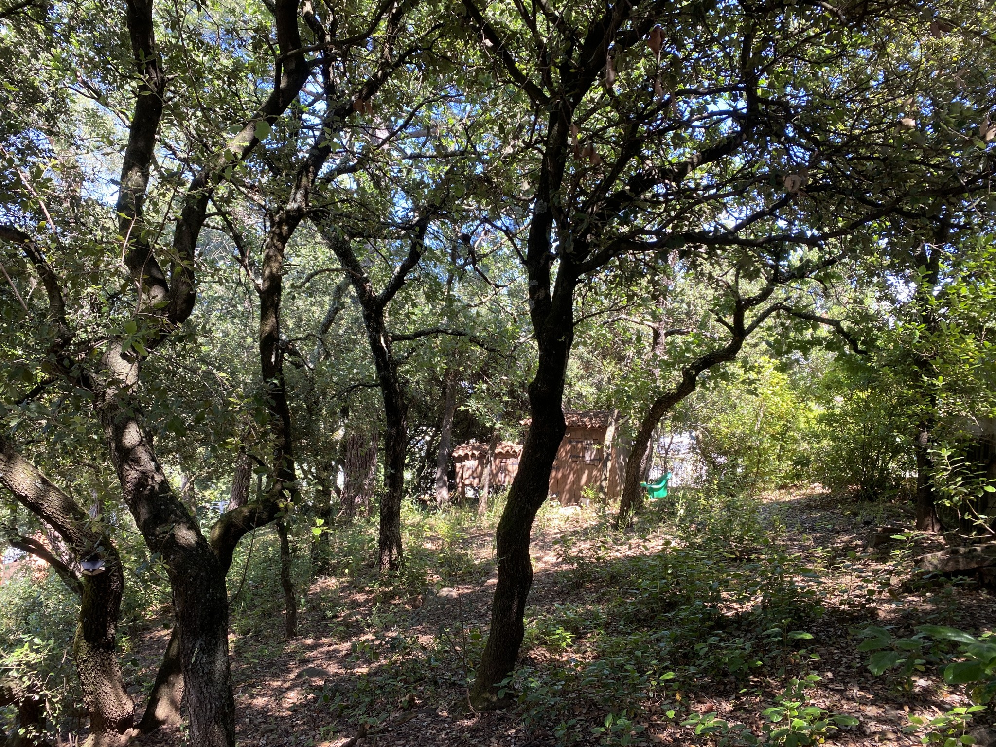 Vente Maison à Uzès 8 pièces