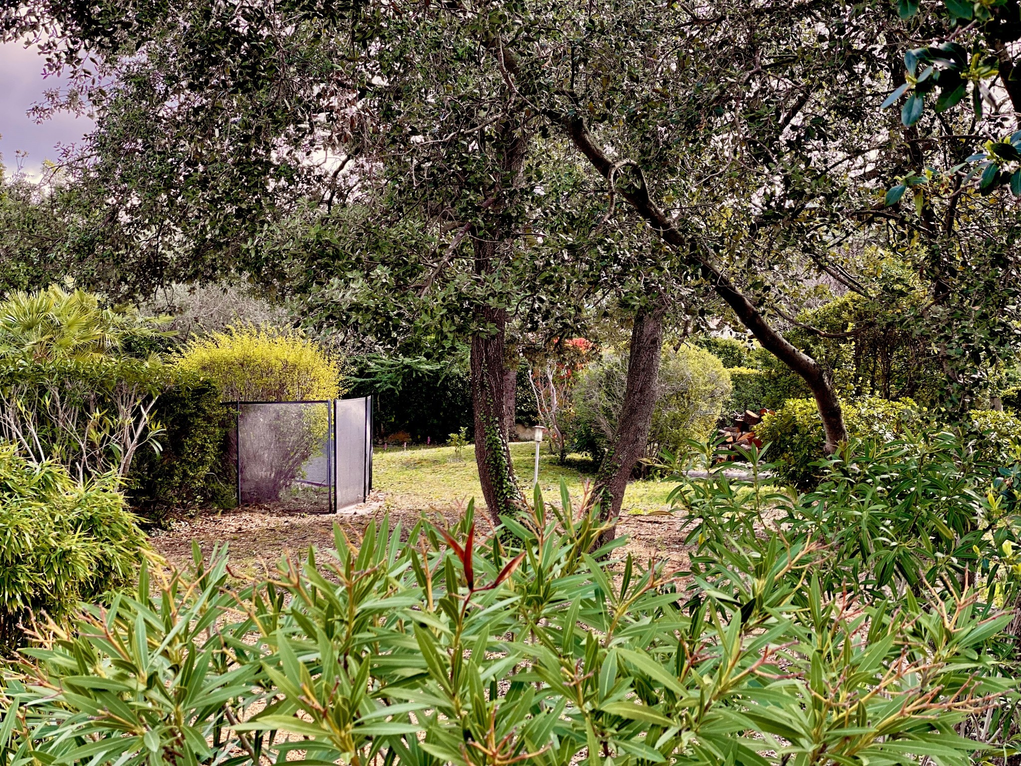 Vente Maison à Nîmes 6 pièces