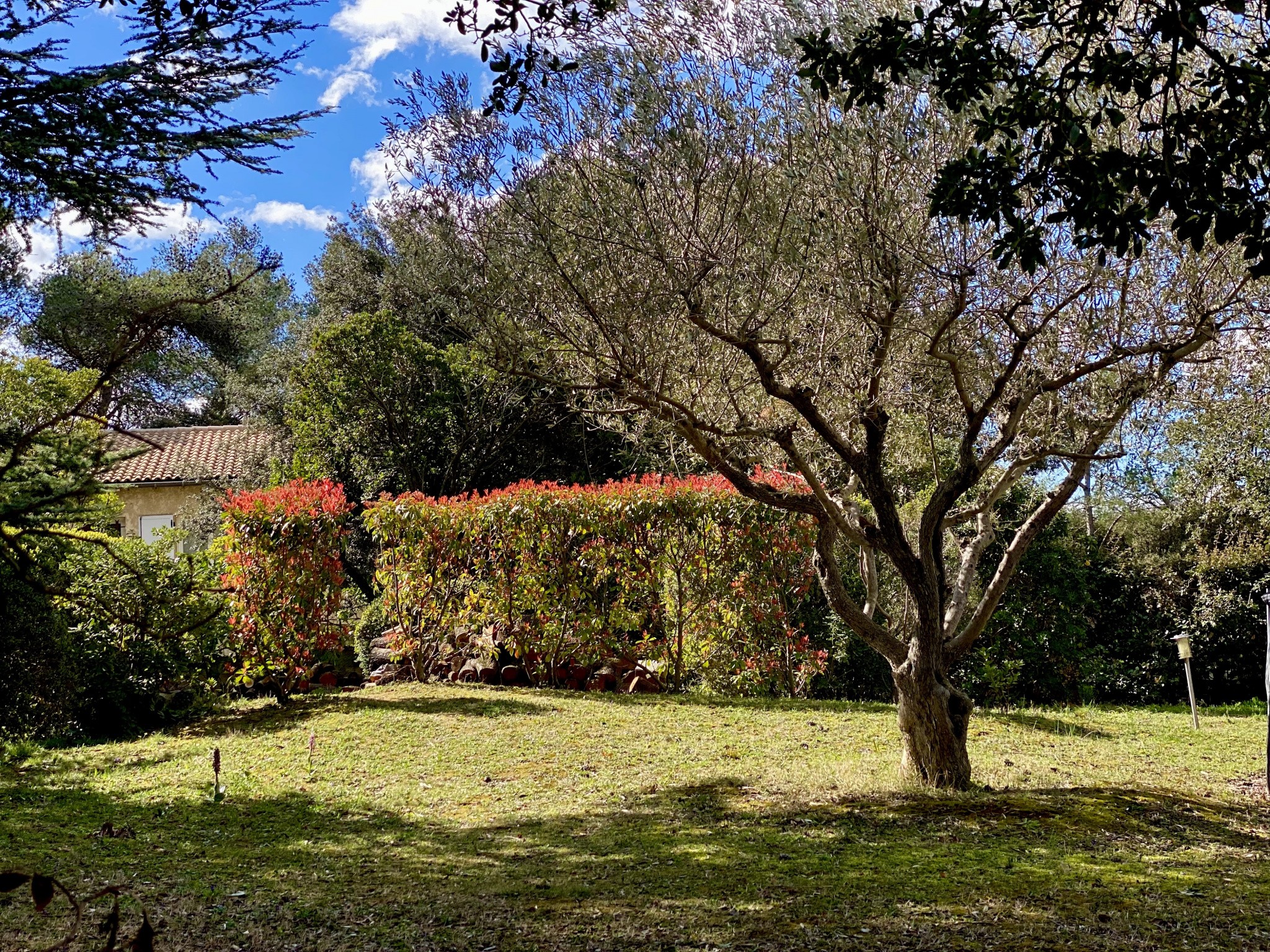 Vente Maison à Nîmes 6 pièces