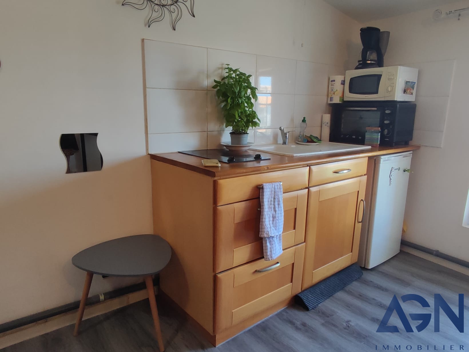 Vente Appartement à Agde 1 pièce