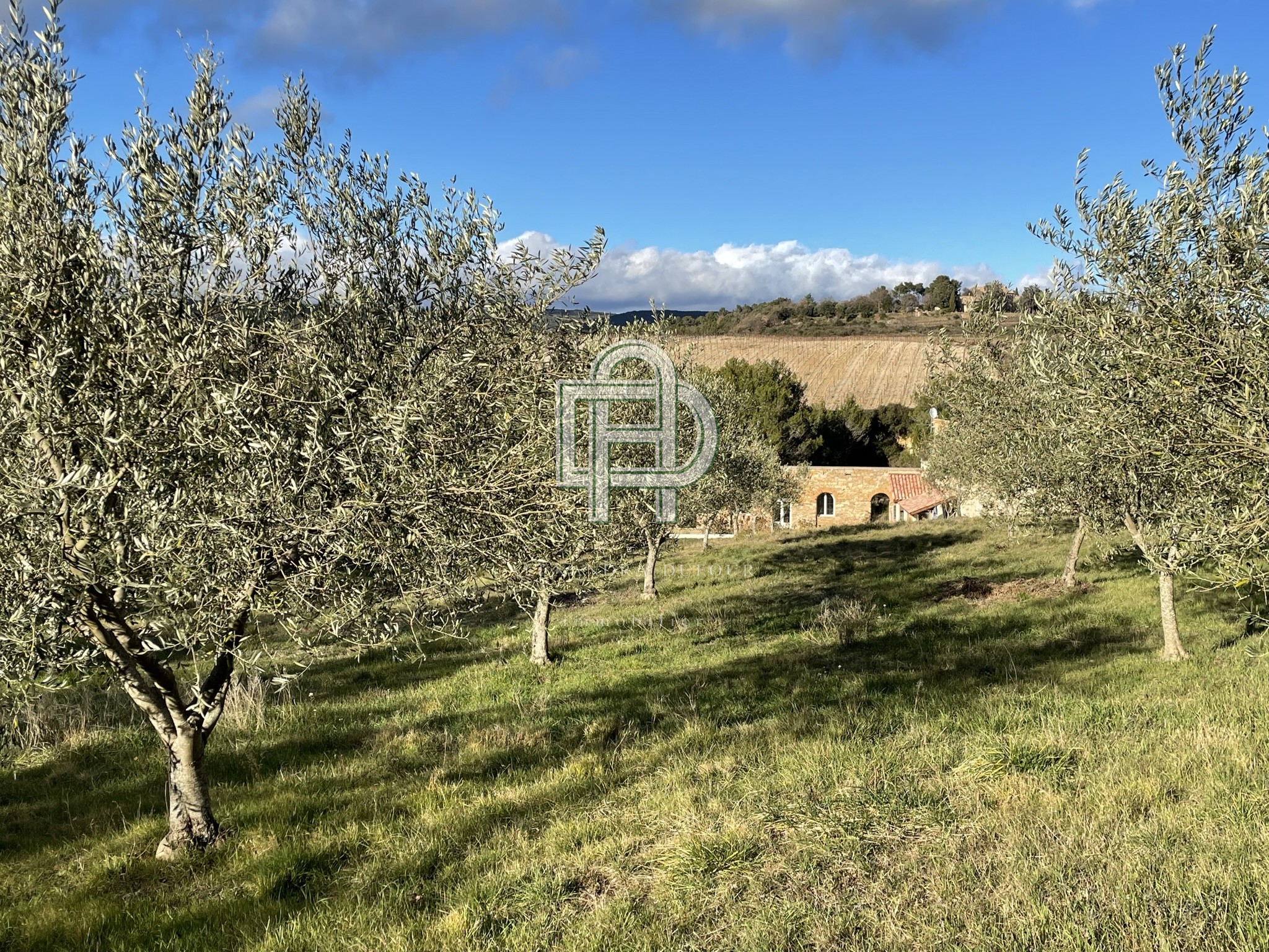 Vente Maison à Minerve 11 pièces