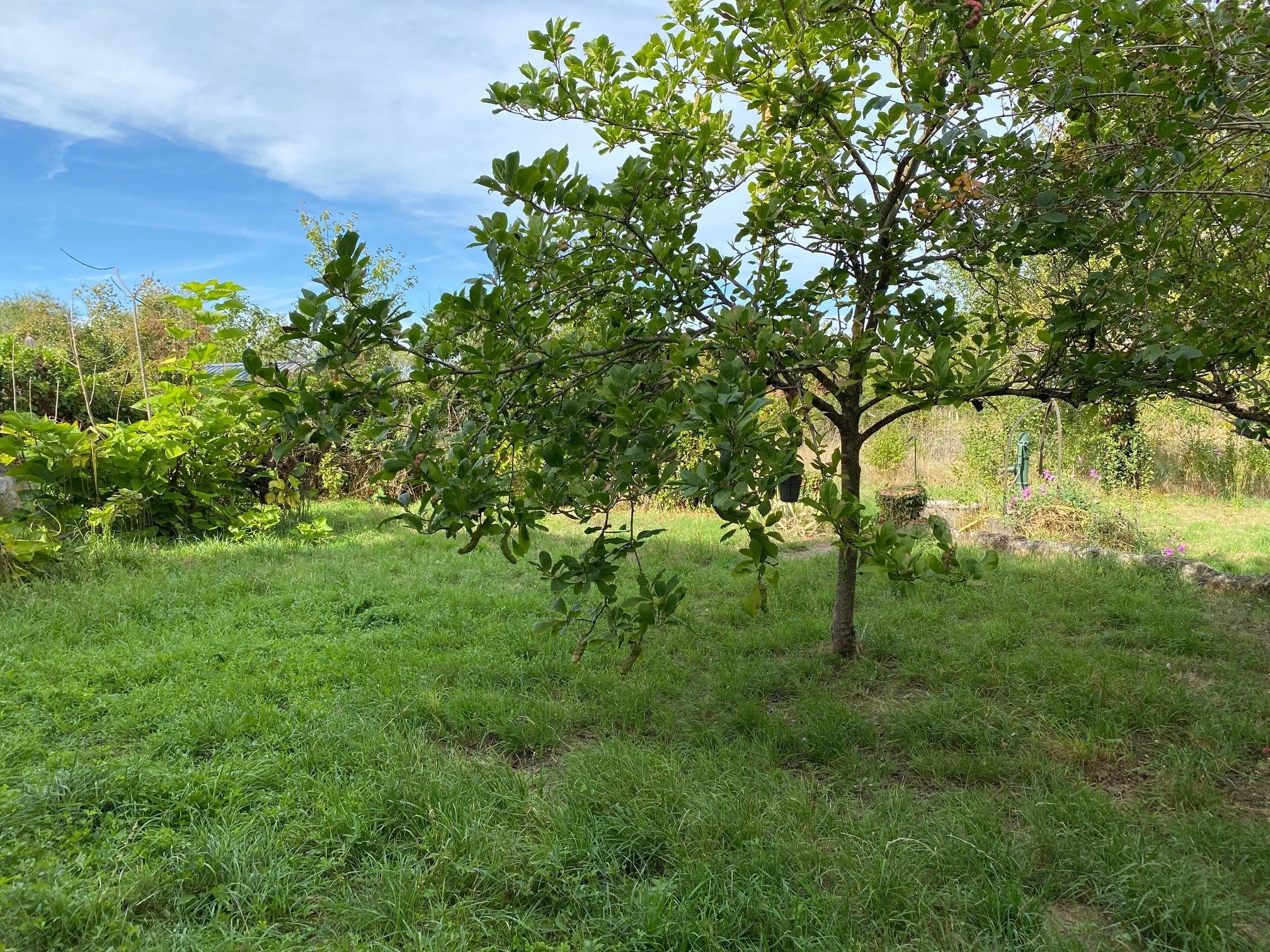 Vente Maison à Saumur 4 pièces